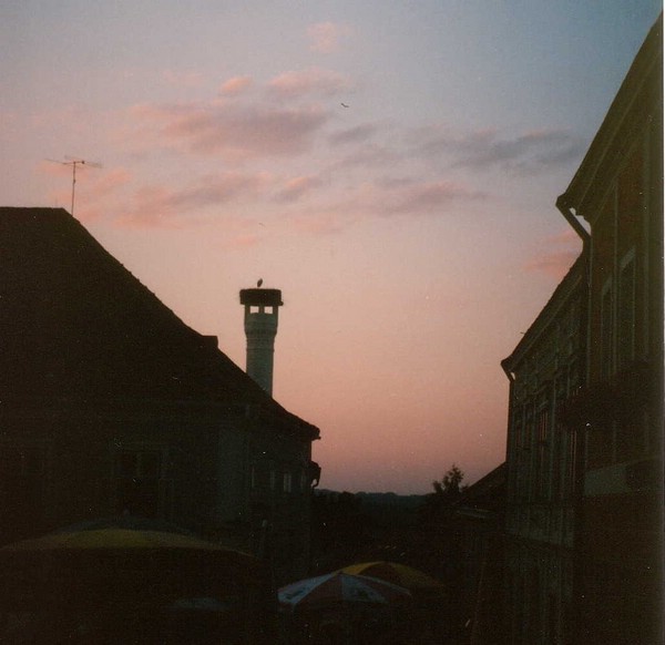 19930800 Weitra Storchennest am Brauhaus.jpg